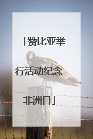 赞比亚举行活动纪念非洲日